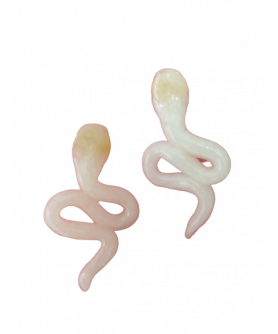 White Snakes Earrings